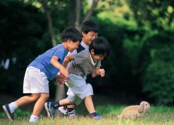 新疆供卵第三代试管婴儿不排队的医院有哪些?新疆供卵第三代试管婴儿医院